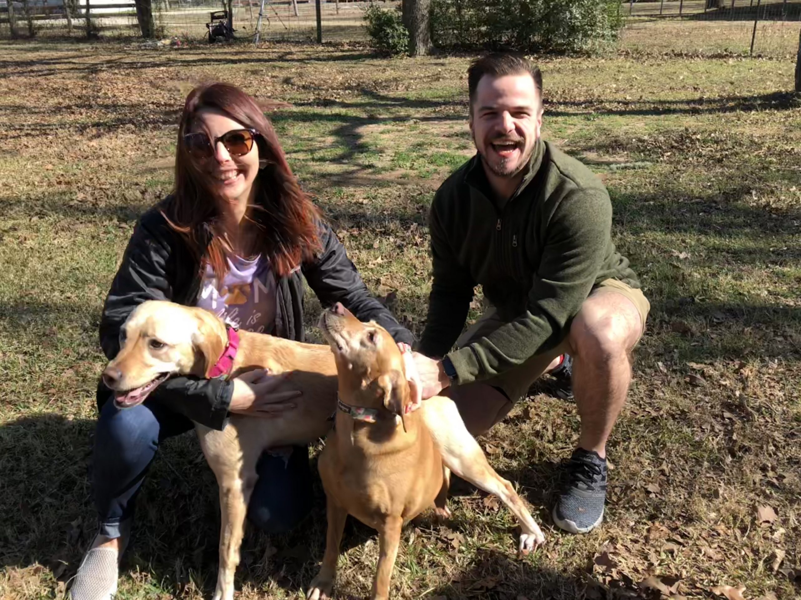 Lilly and Zima, dogs adopted through Homes for Animal Heroes, a program of NAIA