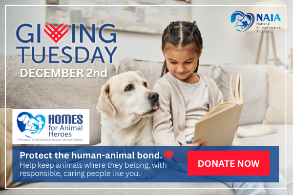 NAIA Giving Tuesday 2025